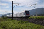 RABe 522 204 und RABe 523 054 bei Altreu. September 2026. 