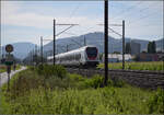 RABe 522 204 und RABe 523 054 bei Altreu. September 2026. 