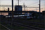 Noch schnell der Abend in Pratteln.

RABe 523 033 und RABe 523 046 auf der Bözbergstrecke. Oktober 2024.