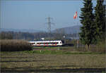 Aargauische Südbahn.

RABe 523 003 'Depot Luzern' bei Hendschiken. November 2024.