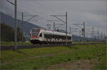 Auf der Schweizer Gäubahn. 

RABe 523 048 nach Olten. Onsingen, Oktober 2024.