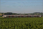 RABe 523 066 bei Hendschiken, Juni 2025.