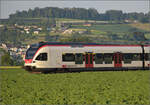 RABe 523 066 bei Hendschiken, Juni 2025.