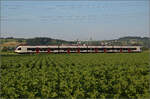 RABe 523 036 'Sins' bei Hendschiken, Juni 2025.
