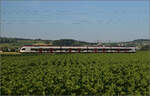 RABe 523 072 bei Hendschiken, Juni 2025.