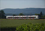 RABe 523 036 bei Hendschiken, Juni 2025.