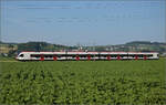 RABe 523 036 bei Hendschiken, Juni 2025.