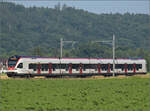 RABe 523 066 bei Hendschiken, Juni 2025.