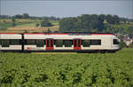 RABe 523 066 bei Hendschiken, Juni 2025.
