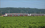 RABe 523 040 und RABe 523 072 bei Hendschiken, Juni 2025.