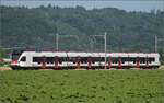 RABe 523 036 bei Hendschiken, Juni 2025.
