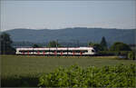 RABe 523 036 bei Hendschiken, Juni 2025.