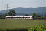 RABe 523 036 bei Hendschiken, Juni 2025.