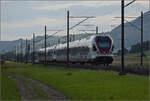 RABe 523 044 und RABe 523 053 im Dünnerenfeld. Oensingen, August 2025.