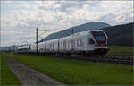 RABe 523 044 und RABe 523 053 im Dünnerenfeld. Oensingen, August 2025.