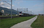 RABe 523 044 und RABe 523 053 bei Neumatten, Oberbuchsiten. August 2025.