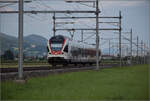 RABe 523 051 bei Neumatten, Oberbuchsiten. August 2025.