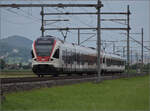 RABe 523 053 und RABe 523 044 bei Neumatten, Oberbuchsiten. August 2025.