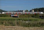 RABe 523 008 (im Bild), RABe 521 024 und RABe 521 027 'Gilberte de Courgenay' bei Salina Raurica.