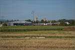 RABe 523 067, RABe 523 063 und RABe 523 007 bei Salina Raurica. August 2025.