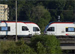 RABe 523 007, RABe 523 063 und RABe 523 067 (im Bild) bei Salina Raurica whrend RABe 523 001 und RABe 523 064 (im Bild) entgegenkommen. August 2025.