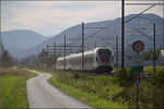 RABe 523 050 und RABe 523 051 bei Altreu.