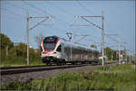 RABe 523 048 bei Altreu.
