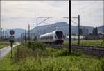 RABe 523 048 bei Altreu.