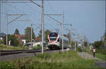 RABe 523 055 bei Altreu.