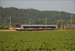 Überraschend auf Durchreise ist der Tilo-Flirt RABe 524 011 in Hendschiken, Juni 2025.