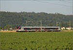 Überraschend auf Durchreise ist der Tilo-Flirt RABe 524 011 in Hendschiken, Juni 2025.