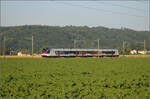 Überraschend auf Durchreise ist der Tilo-Flirt RABe 524 011 in Hendschiken, Juni 2025.