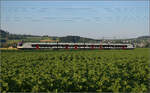Überraschend auf Durchreise ist der Tilo-Flirt RABe 524 011 in Hendschiken, Juni 2025.