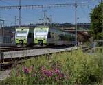 Die Ninas RABe 525 029 und RABe 525 032 sind im Bahnhof Huttwil geparkt. Juli 2023.