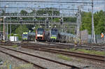 Die Ltschberger RABe 535 103 'Burgdorf' RABe 535 122 'Steffisburg' begegnen Traverso RABe 526 108 der SOB. Burgdorf, Mai 2025.