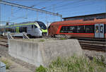 Mika RABe 528 120 der BLS begegnet Traverso RABe 528 108 der SOB in Burgdorf. Mai 2025.