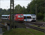 Als langer GTW zeigen sich RABe 526 789 und RABe 526 745 in Singen.