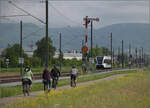 RABe 526 732 auf dem Weg nach Erzingen. Wilchingen, Mai 2025.
