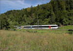 150 Jahre Tsstalbahn.

RABe 526 766 und RABe 526 775 fahren in Kollbrunn am Betrachter vorber. Ein Bild des Alltgas mit den blichen GTW an einer Stelle, die den Charakter der Tsstalbahn im oberen Tsstal passend darstellt. September 2025.