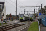 RABe 528 209 und RABe 528 227 begegnen sich in Mittelhäusern.