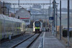 Zugkreuzung in Mittelhäusern. RABe 528 209 nach Schwarzenburg macht sich bereits auf die Socken, während RABe 528 228 nach Bern noch die Abfahrt abwartet. Januar 2026.