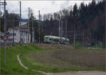 Ostermontag bei der 'Emmentalbahn'.

Nebenbei erreicht der Lötschberger RABe 535 117 den Bahnhof Sumiswald-Grünen. April 2024.
