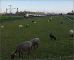 Aargauische Südbahn.