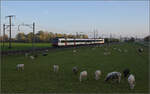 Aargauische Südbahn.