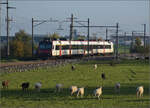 Aargauische Südbahn.