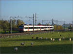 Aargauische Südbahn.