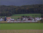 Auf der Schweizer Gubahn.