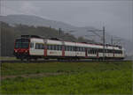 Auf der Schweizer Gäubahn. 

RBDe 560 261 ist in einem heftigen Regenschauer westwärts unterwegs. Onsingen, Oktober 2024.