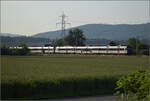RBDe 560 272 und RBDe 560 300 bei Hendschiken, Juni 2025.