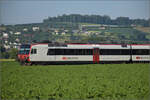 RBDe 560 272 und RBDe 560 300 bei Hendschiken, Juni 2025.